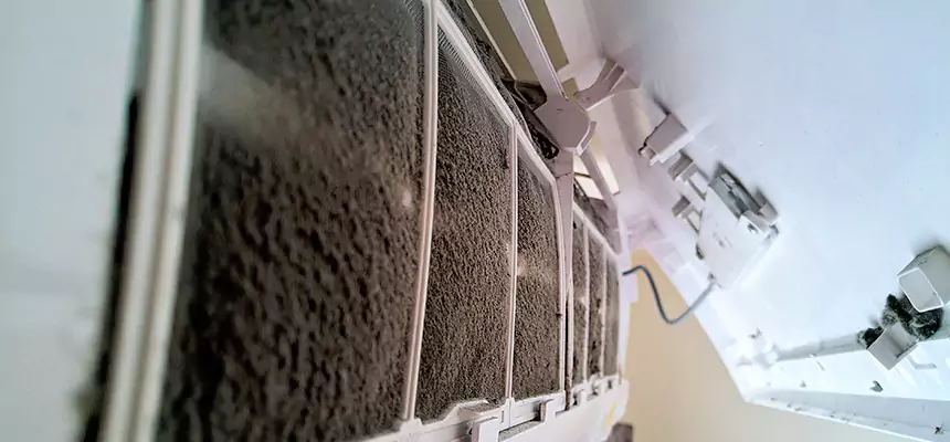 Preventive Air Duct Bacteria Removal in Virginia Beach