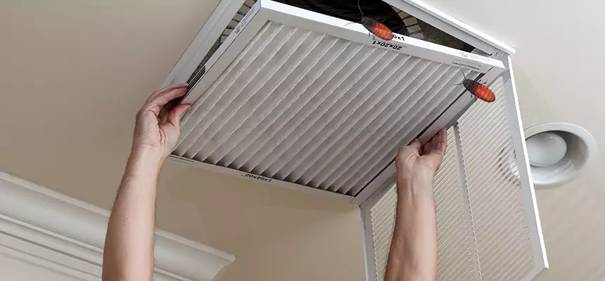 Preventive Cockroach-Proofing for Ducts in Virginia Beach
