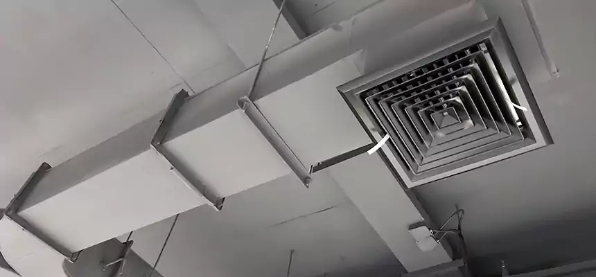 Restorative Allergy Relief Vent Cleaning – Coil, Blower & Housing Detail in Virginia Beach