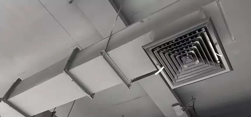 Our Rodent Droppings In Vents Services in Virginia Beach, VA