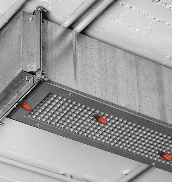 About Air Duct Cockroach Removal in Virginia Beach, VA