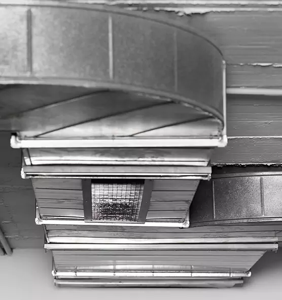 Professional Air Duct Pest Removal in Virginia Beach, VA