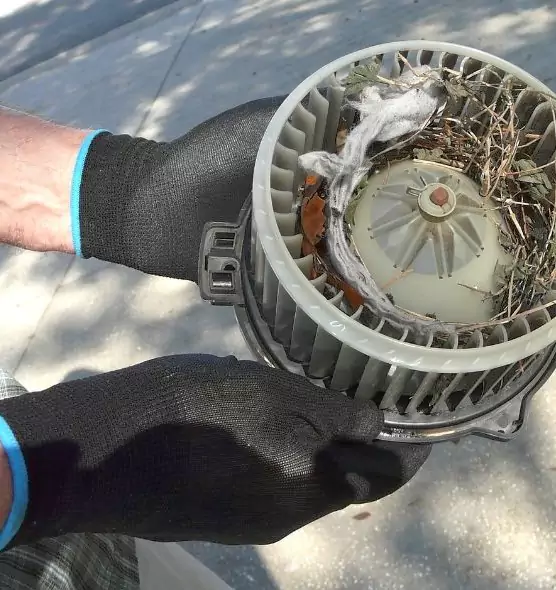 About Air Duct Rat Removal in Virginia Beach, VA