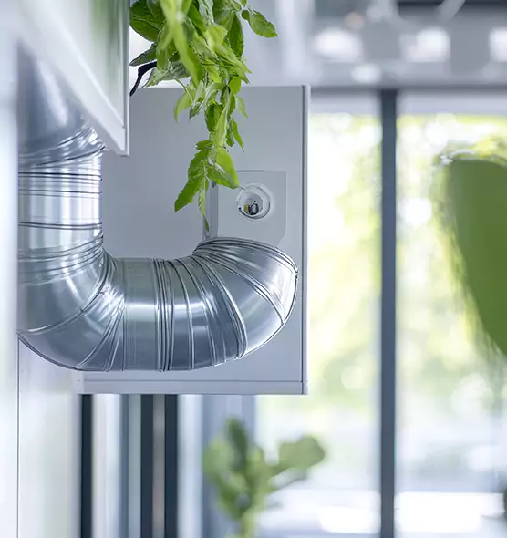 Professional Eco-Safe Dryer Vent Cleaning in Virginia Beach, VA