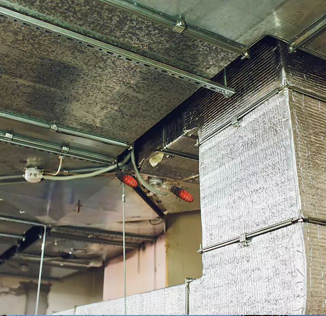 Why Homeowners & Businesses Trust Us in Virginia Beach, VA?