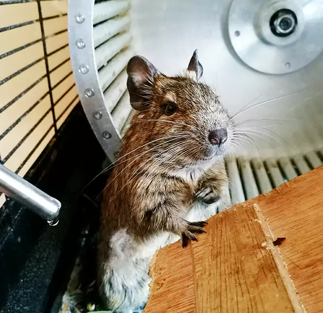 Why Homeowners & Businesses Trust Us Virginia Beach, VA