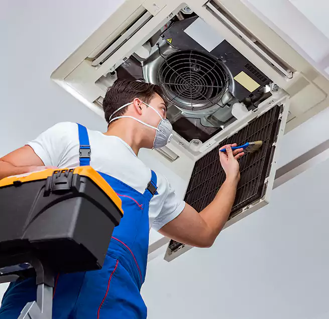 Why Homeowners & Businesses Trust Us in Virginia Beach, VA