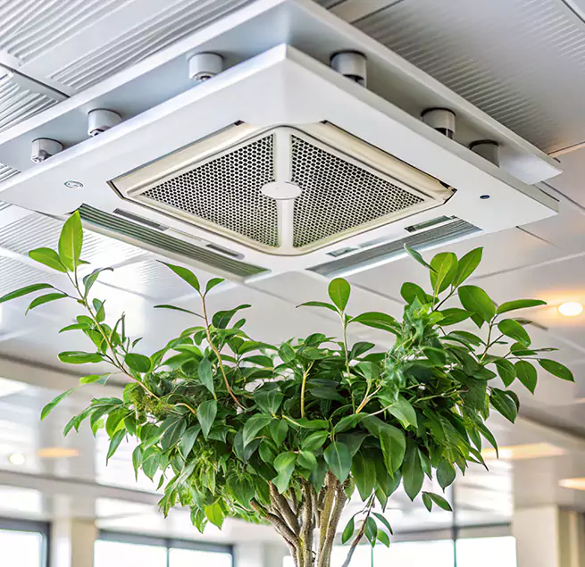 Why Homeowners & Businesses Trust Us in Virginia Beach, VA?